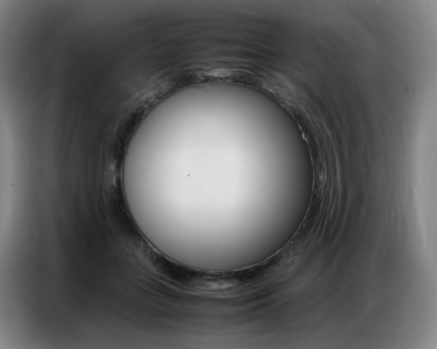 X0000087360555200704200828