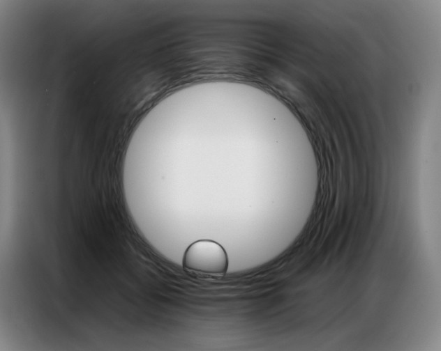 X0000087360556200704200828