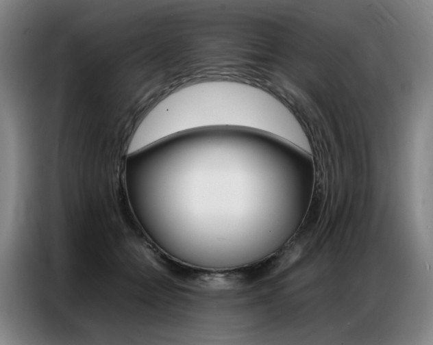 X0000087360558200704200828