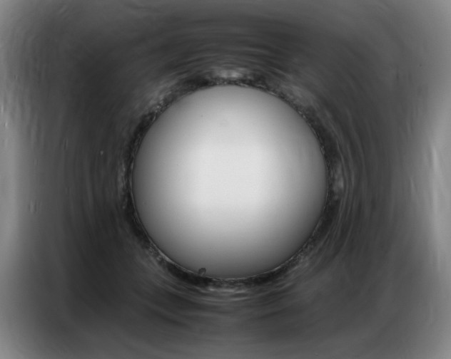 X0000087360559200704200828