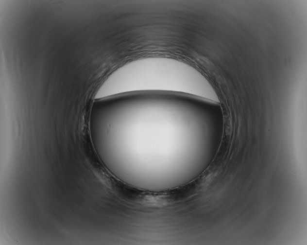 X0000087360560200704200828