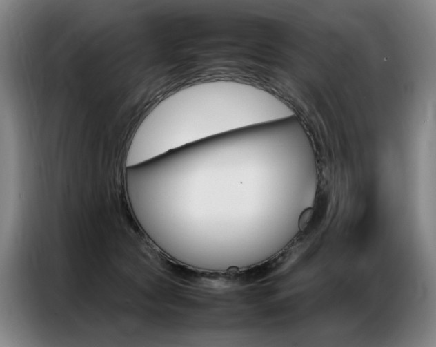 X0000087360561200704200828