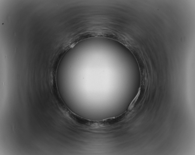 X0000087360562200704200828
