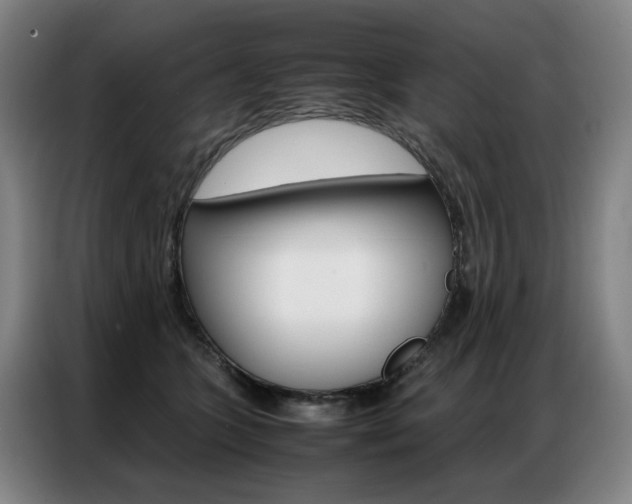 X0000087360563200704200828