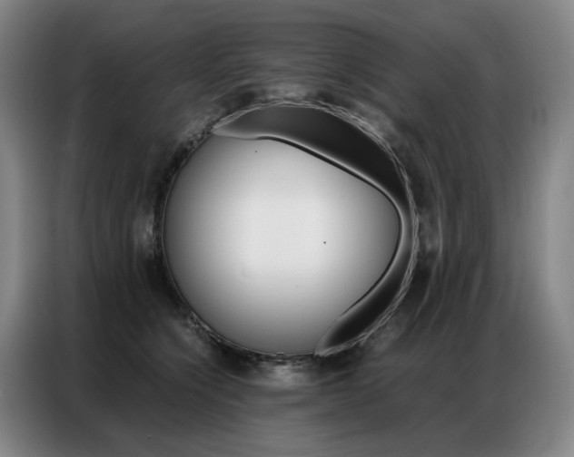 X0000087360564200704200828