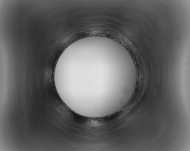 X0000087360565200704200828
