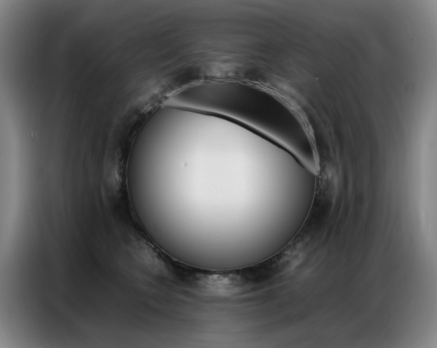 X0000087360566200704200828