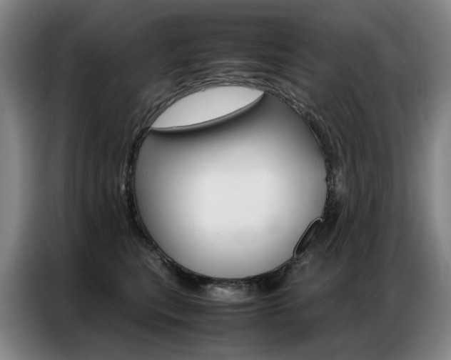 X0000087360567200704200828