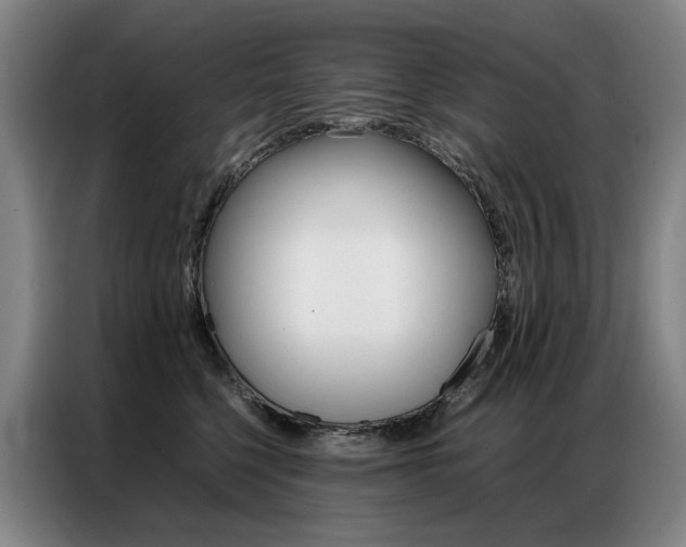 X0000087360568200704200828