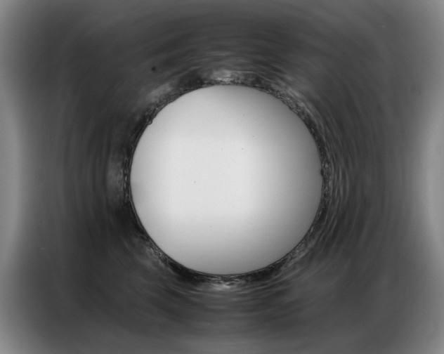 X0000087360569200704200828