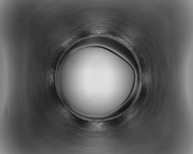 X0000087360570200704200828