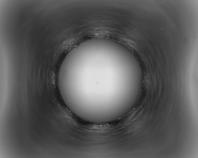 X0000087360571200704200828