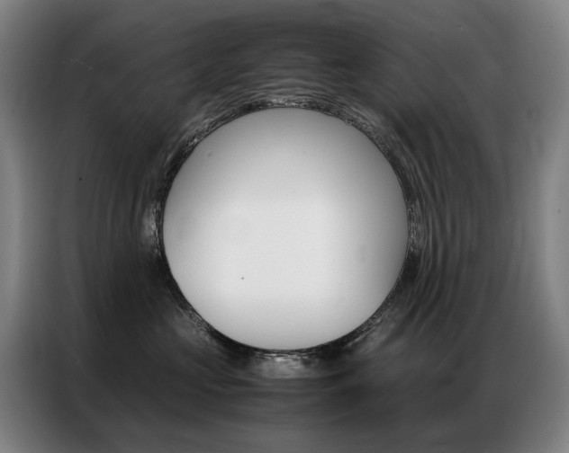 X0000087360573200704200828