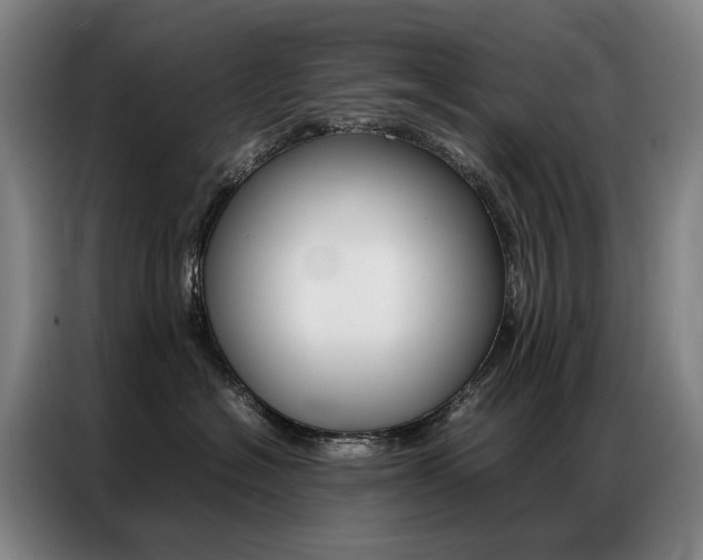 X0000087360574200704200828