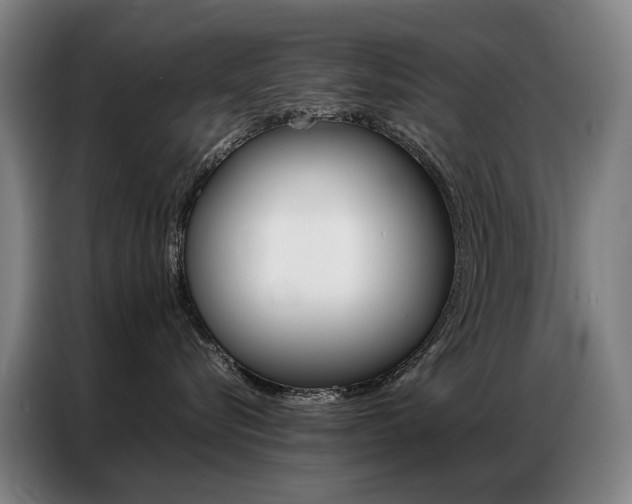 X0000087360576200704200828