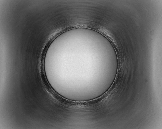 X0000087360578200704200827