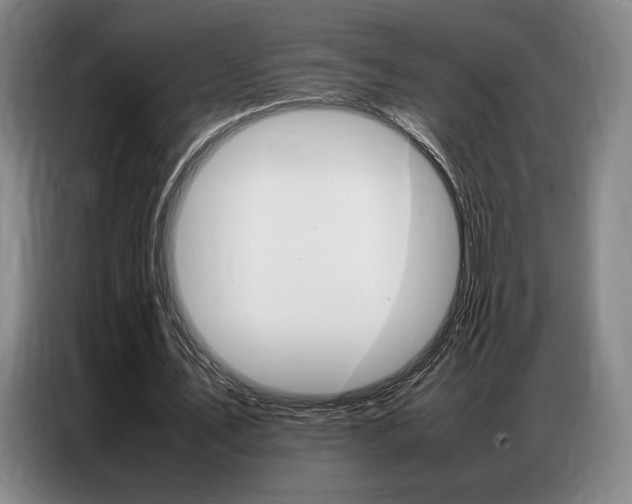 X0000087360579200704200827