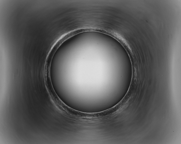 X0000087360580200704200827