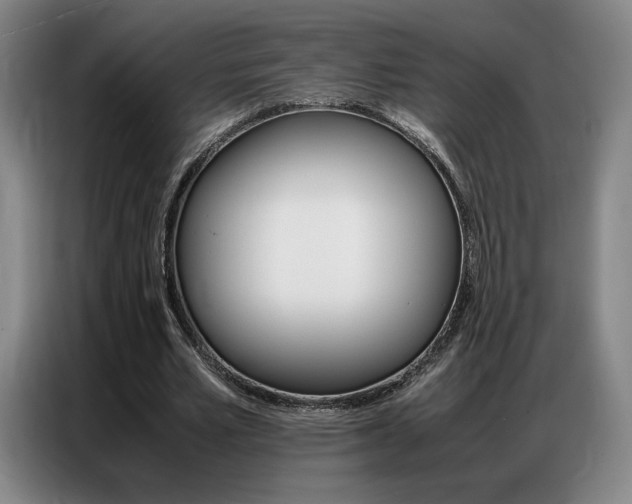 X0000087360581200704200827