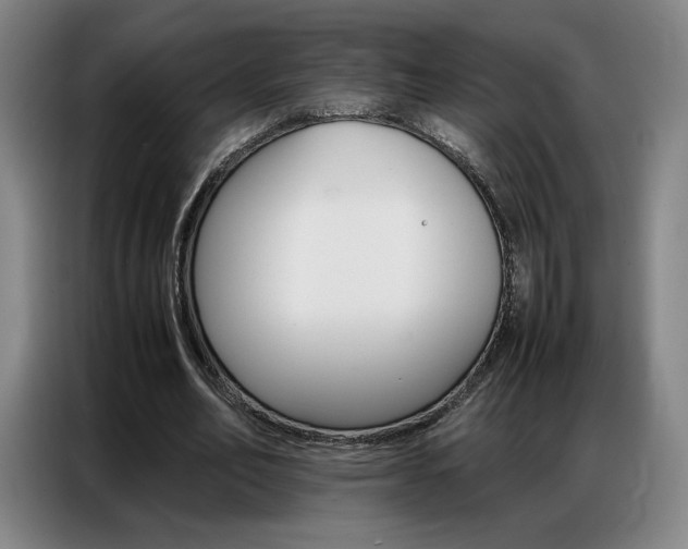 X0000087360582200704200827