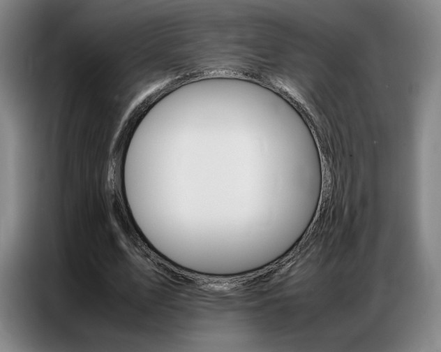 X0000087360583200704200827