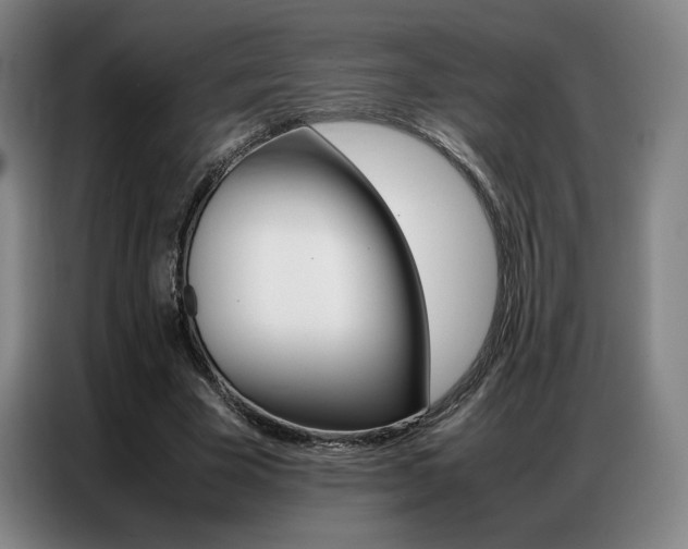 X0000087360585200704200827