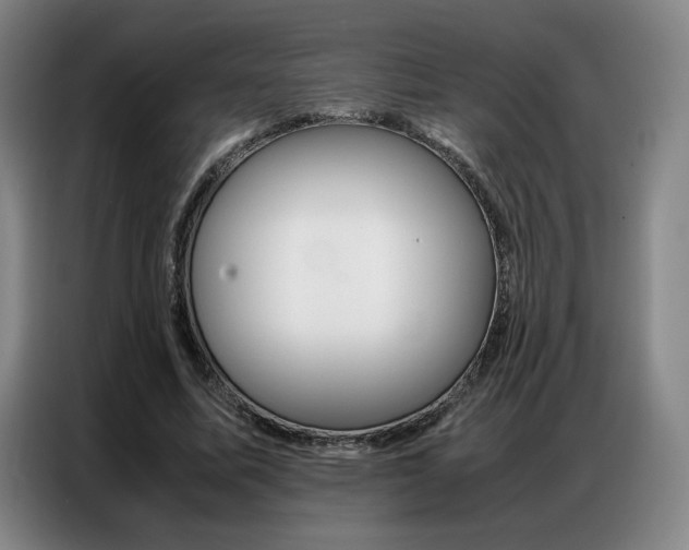 X0000087360587200704200827