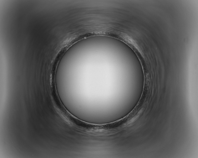 X0000087360589200704200827