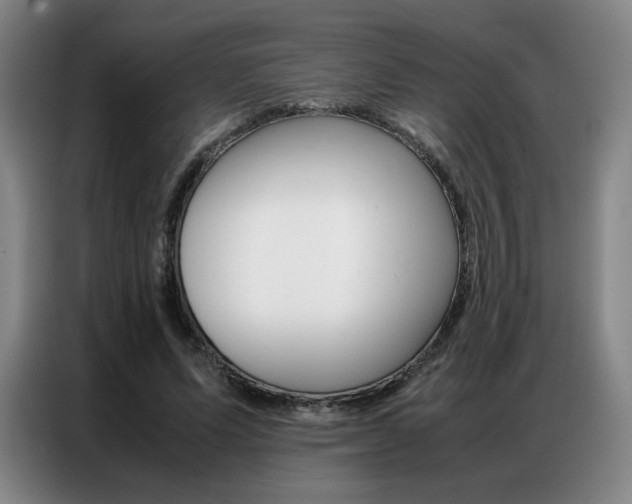 X0000087360591200704200827