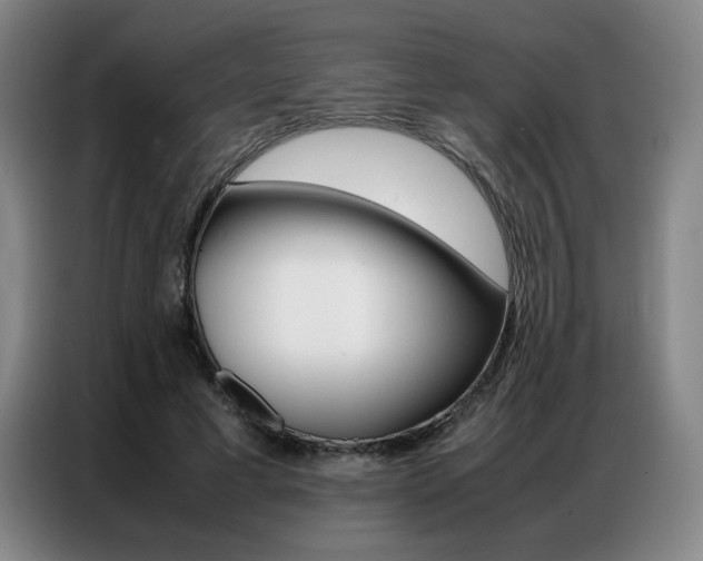 X0000087360593200704200827