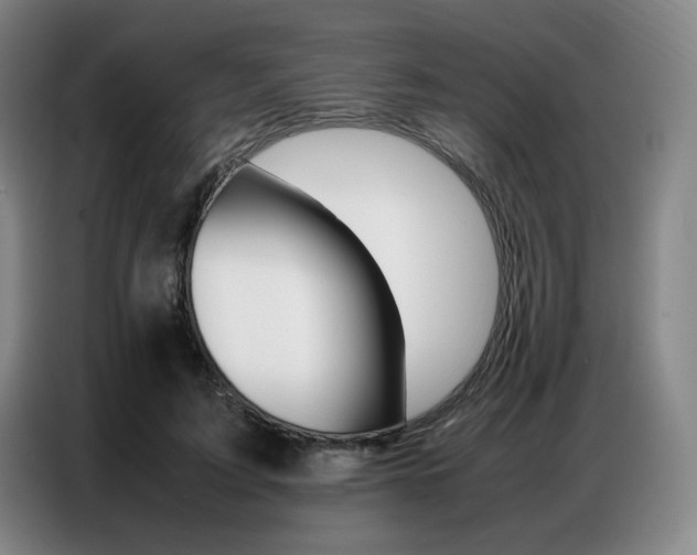 X0000087360595200704200827