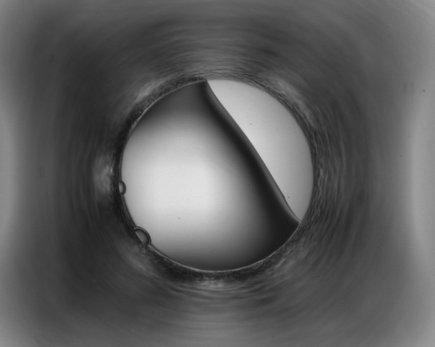 X0000087360596200704200827