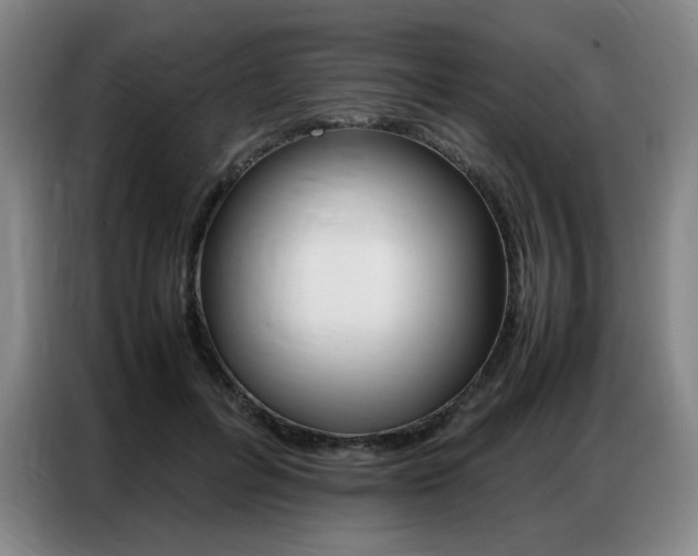 X0000087360600200704200827