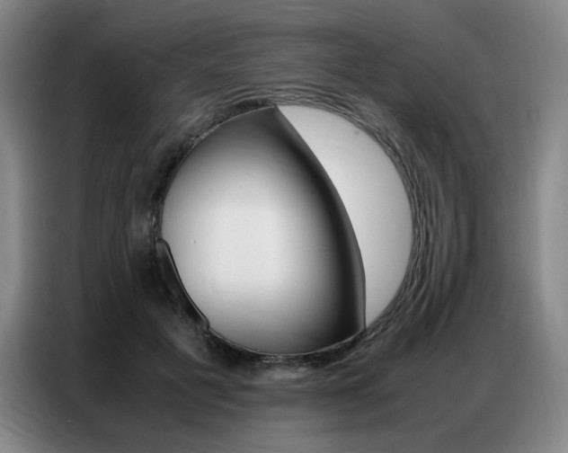 X0000087360601200704200827