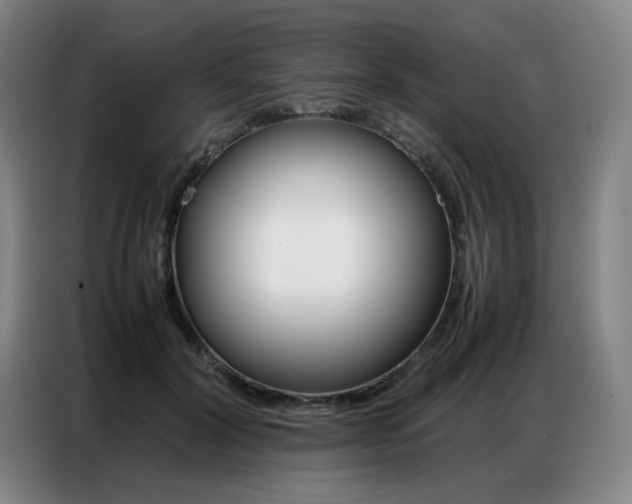 X0000087360604200704200827
