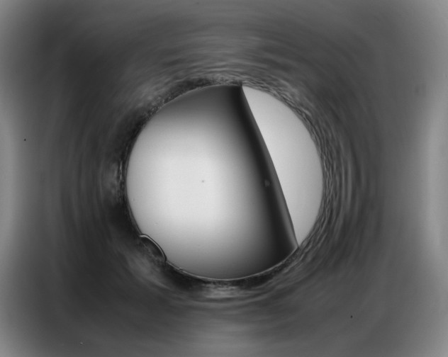 X0000087360605200704200827
