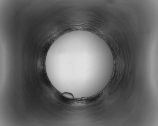 X0000087360606200704200827