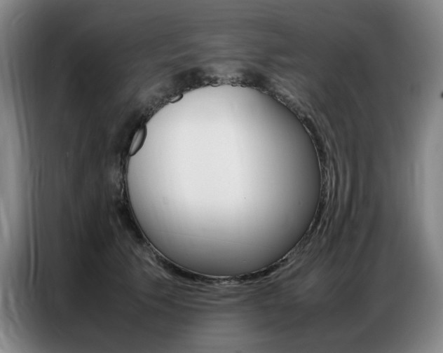 X0000087360609200704200827