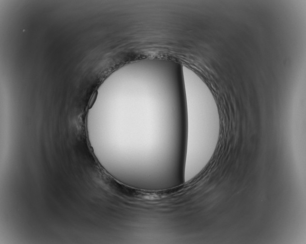 X0000087360611200704200827