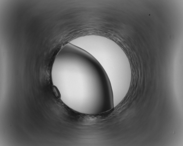 X0000087360613200704200827