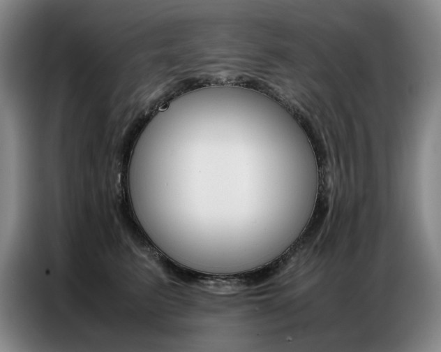 X0000087360615200704200827