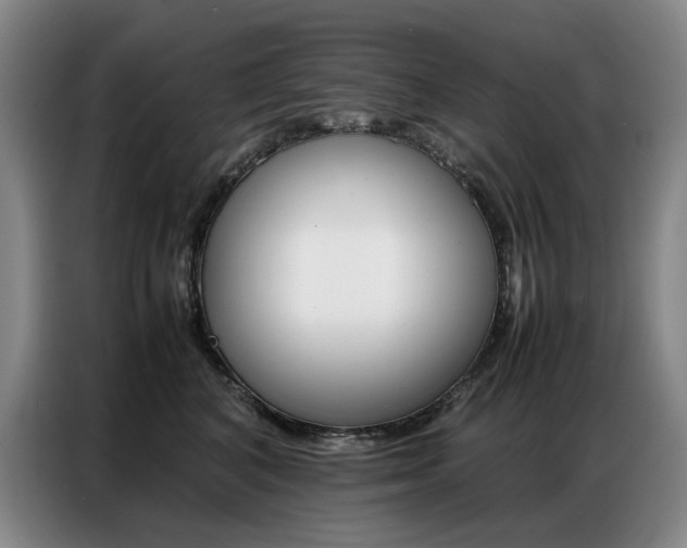 X0000087360616200704200827