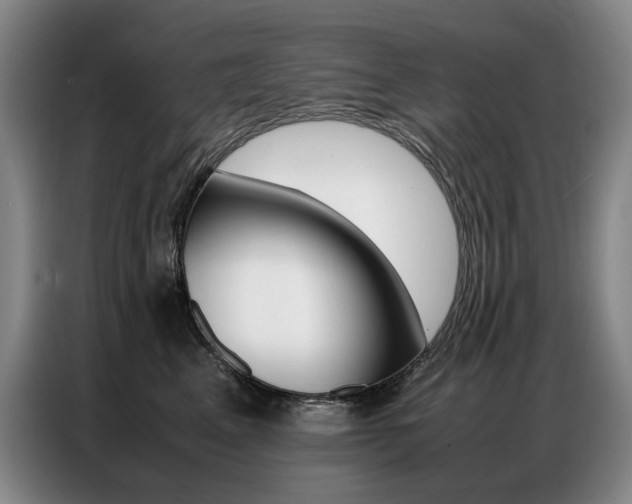 X0000087360617200704200827