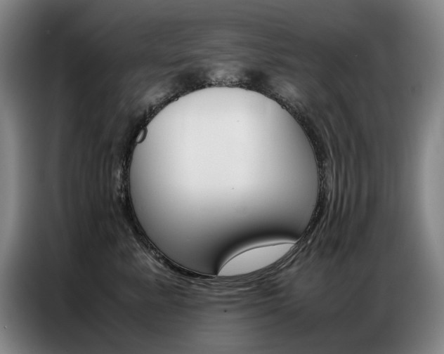 X0000087360619200704200827