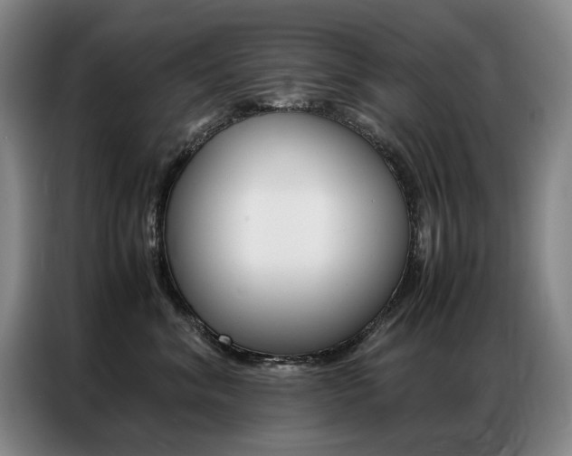X0000087360620200704200827
