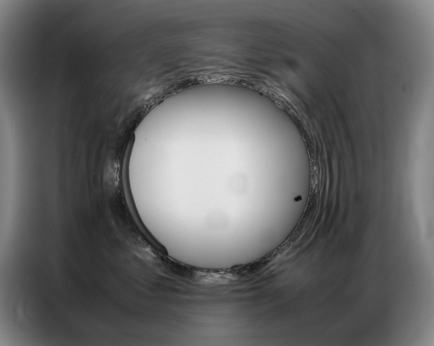 X0000087360621200704200827
