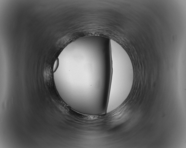X0000087360623200704200827