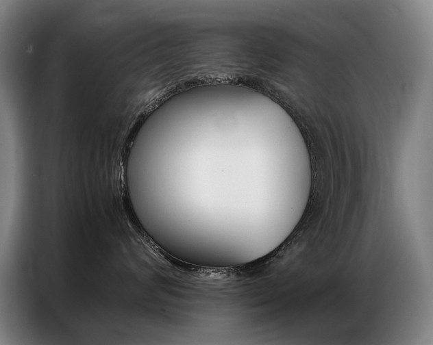 X0000087360624200704200827