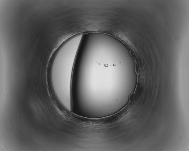 X0000087360626200704200826