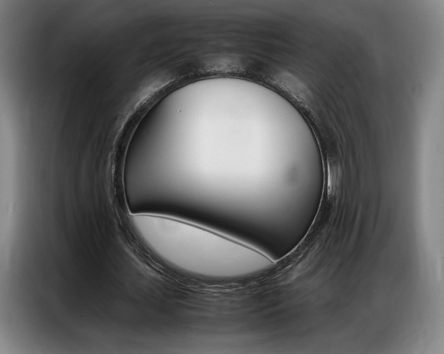 X0000087360627200704200826